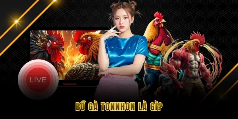 Bồ g&agrave; Tonnhon l&agrave; g&igrave;?