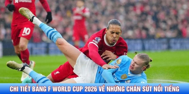 Chi tiết bảng F World Cup 2026 về những ch&acirc;n s&uacute;t nổi tiếng